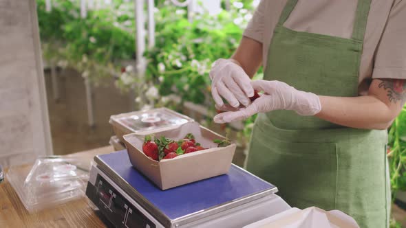 Packing Strawberries For Retail alt