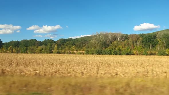 Beautiful autumn landscape in a sunny day with blue sky.