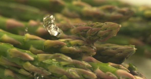Water splashing onto asparagus in super slow motion.  Shot on Phantom Flex 4K high speed camera.