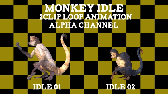 Monkey Alpha 2Clip Loop