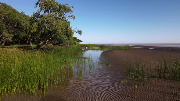 Cinematic aerial pull out shot capturing grass marshes and pristine mangrove wetland texture against alt