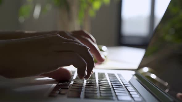 Professional Freelancer Hands Type on Grey Laptop Keyboard