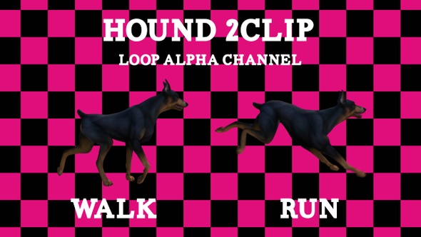Hound 2 Clip Loop