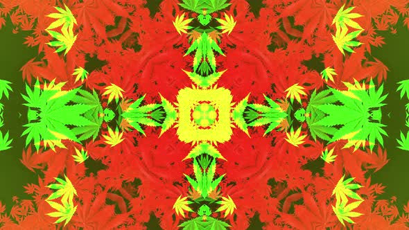 4k Cannabis Patterns alt