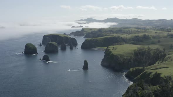 Pacific Islands in the Fog