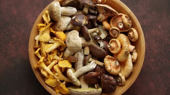 Various Kinds of Assorted Raw Mushrooms Placed in Wooden Bowl