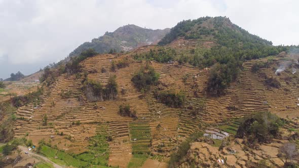 Tropical Landscape with Farmlands in Mountains alt