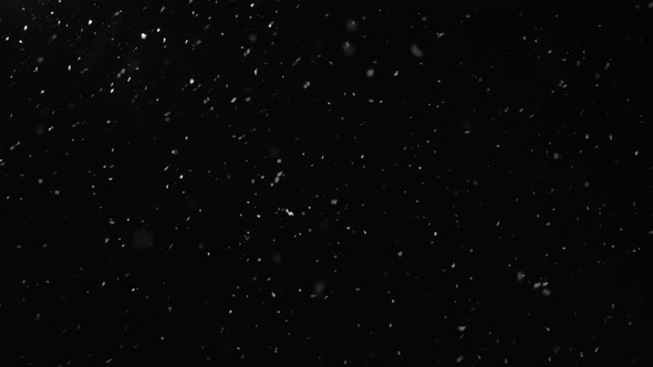 Snow Falling Over Black Background or Night Sky alt