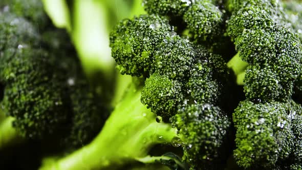 Broccoli With Drops of Water, Beautiful Video, Raw Organic Food , Organic Harvest in Garden, Farming alt