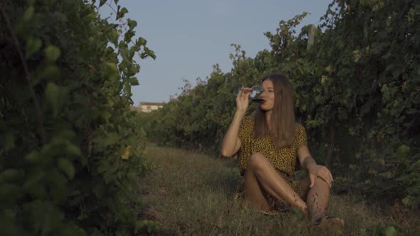 Beautiful Girl Seat and Tasting Red Wine At Vineyard