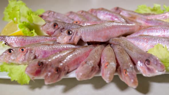 Raw mullet fish. Ready for cooking. Fresh seafood. Healthy, protein. Tasty gourmet. White background alt