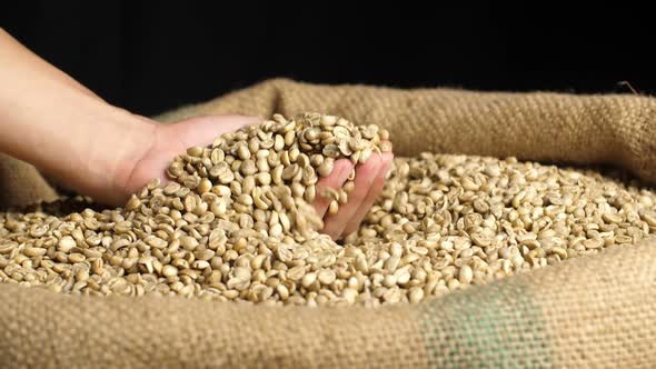 Green Unroasted Coffee Beans On Hand alt