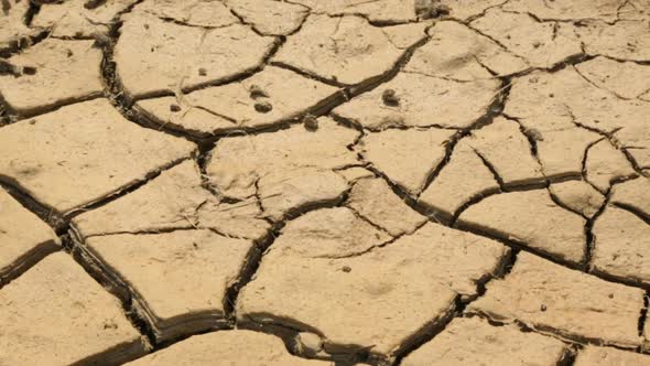 Dried cracked soil in dessert