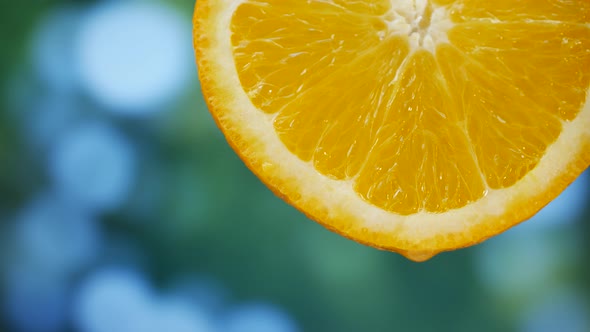 Juice Drops Flows Down on Orange Fruit in Garden