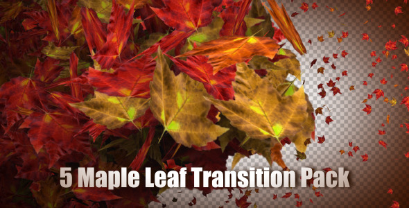 5 Maple Leaf Transition Pack