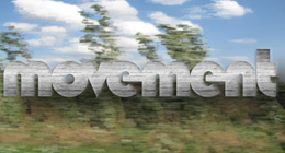 Movement Collection