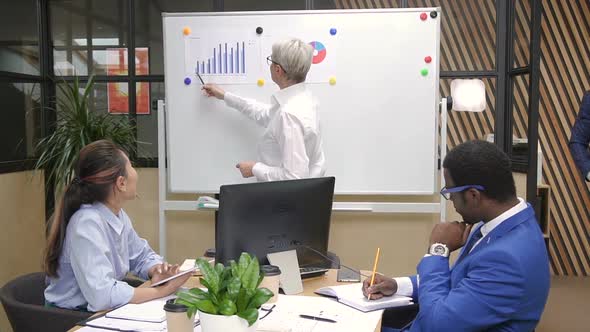 Female Financial Expert Presenting Business Strategy To Mixed Race Team on Briefing alt