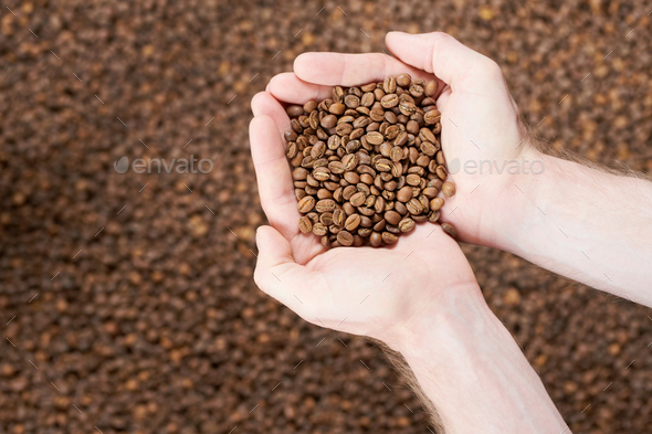 Handful of Freshly Roasted Coffee Beans - Stock Photo - Images