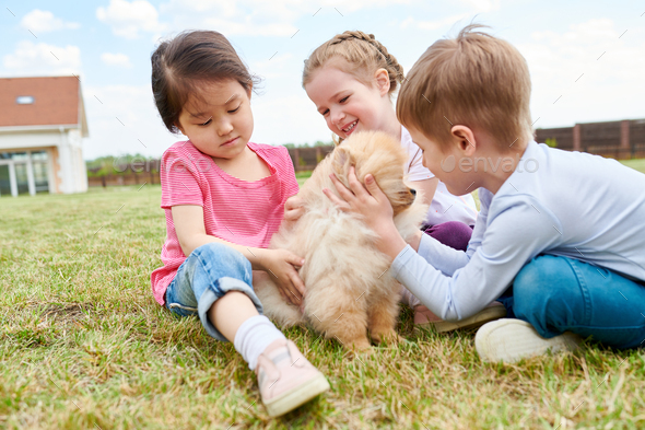 Puppies playing cheap with kids