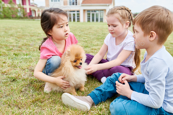 Kids Playing with Puppy - Stock Photo - Images