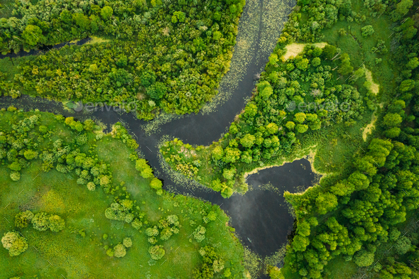 Aerial View. Green Forest, Meadow And River Marsh Landscape In S