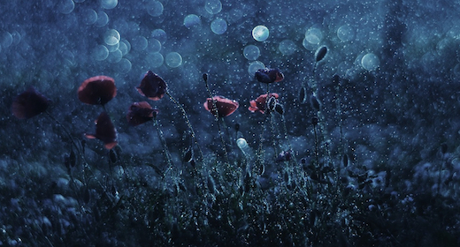 Emotional Orchestral