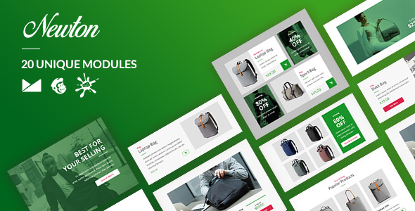 Newton Email-Template + - ThemeForest 24465833