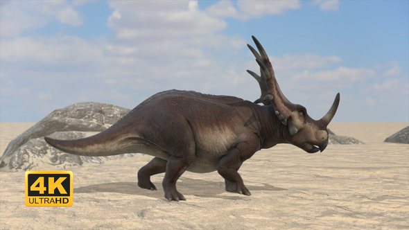 Styracosaurus - Walking