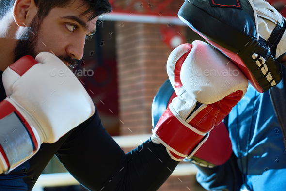 boxing training pads