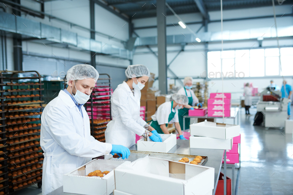Confectionery factory employees putting pastry into boxes - Stock Photo - Images