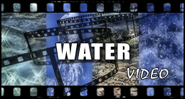 Water (Video)