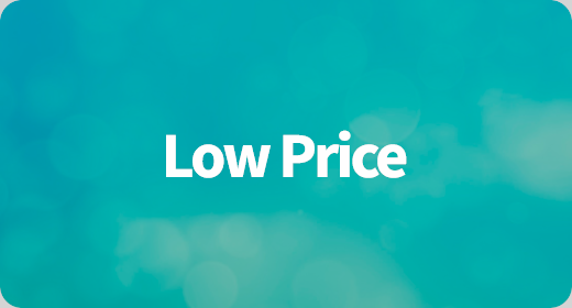 Low Price