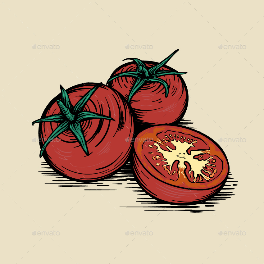 Tomatoes, Vectors | GraphicRiver