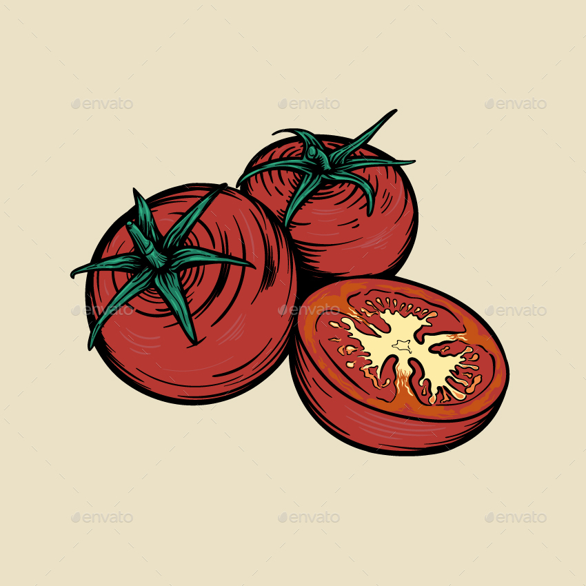 Tomatoes, Vectors | GraphicRiver