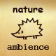 Nature Ambience