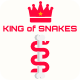 KING OF SNAKES Two Player Game Android ios