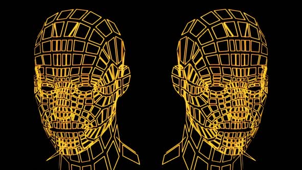 Grid Human Head