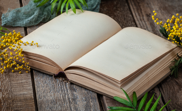Opened book with blank pages on an old wooden table with mimosa - Stock Photo - Images