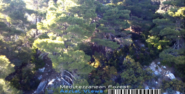 Mediterranean Forest - Aerial Views