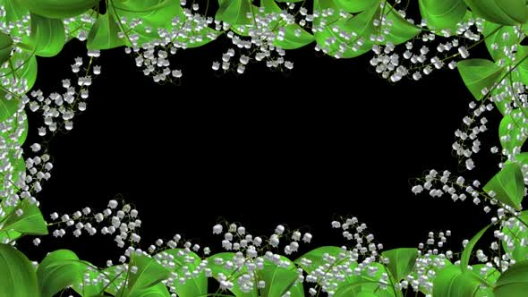 Lily Of The Valley - Blooming Flowers - Windy Frame Loop - Alpha Channel