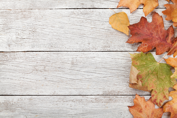 Autumn background - Stock Photo - Images