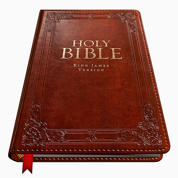 Bible - 3Docean 24543510
