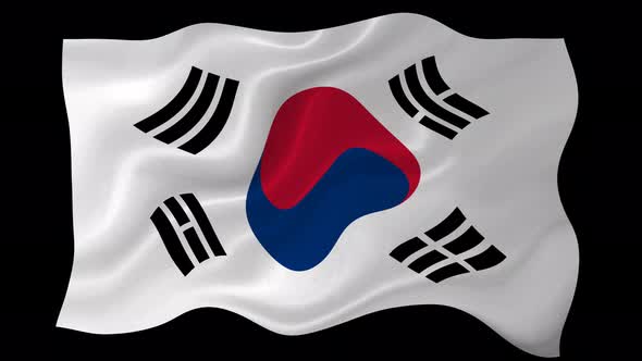 South Korea Flag Wavy National Flag Animation