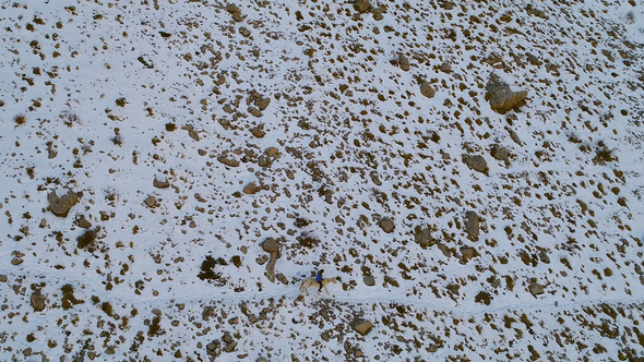 Man A Snowy Valley alt