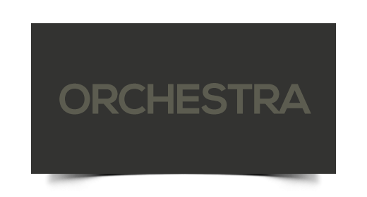 Orchestra