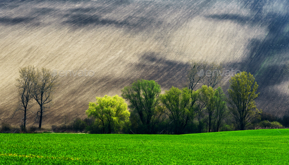 Detail scenery at South Moravian field during spring, Czech republic