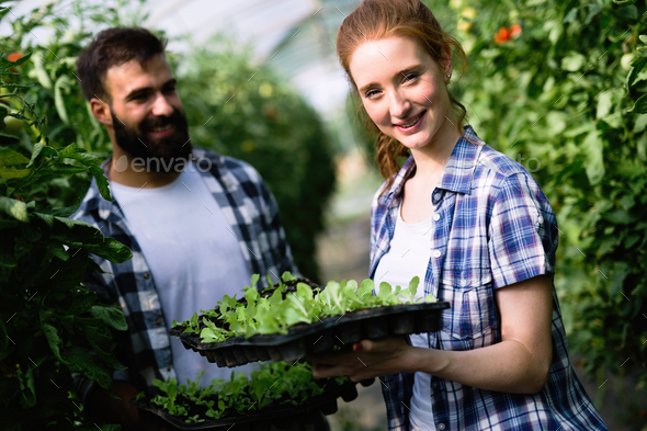 Image of couple of farmers seedling sprouts in garden - Stock Photo - Images