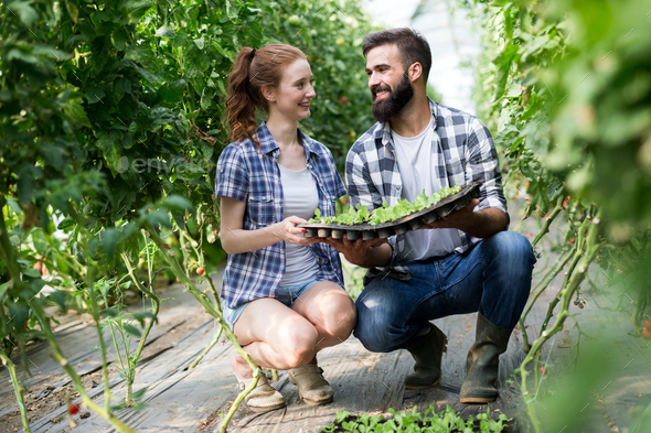 Two young people working in greenhouse - Stock Photo - Images