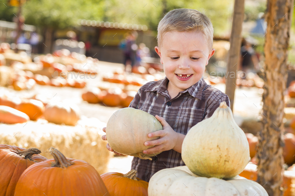 Adorable Little Boy Gathering His Pumpkins at a Pumpkin Patch on a Fall Day. - Stock Photo - Images