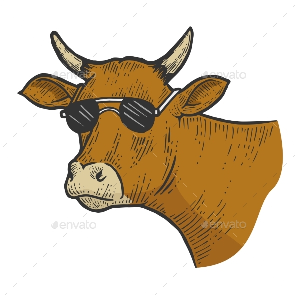 Cow Animal in Sunglasses Sketch Engraving Vector
